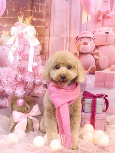 20241221コアくん